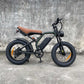 best electric bike Rooder cb02 48v 500w 20ah 25-45km/h wholesale price