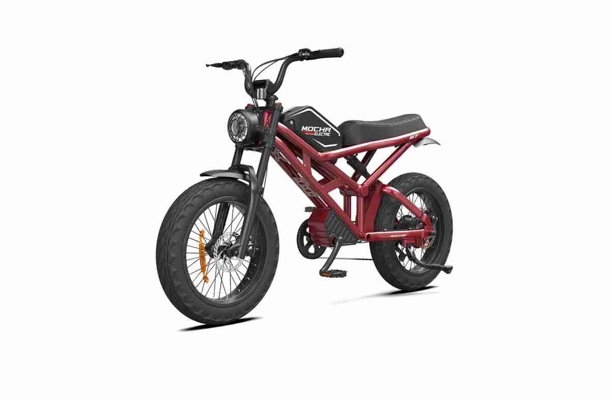 black electric bike OEM