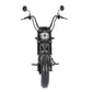 citycoco chopper m1p Rooder arrow 2000w 28ah matte black
