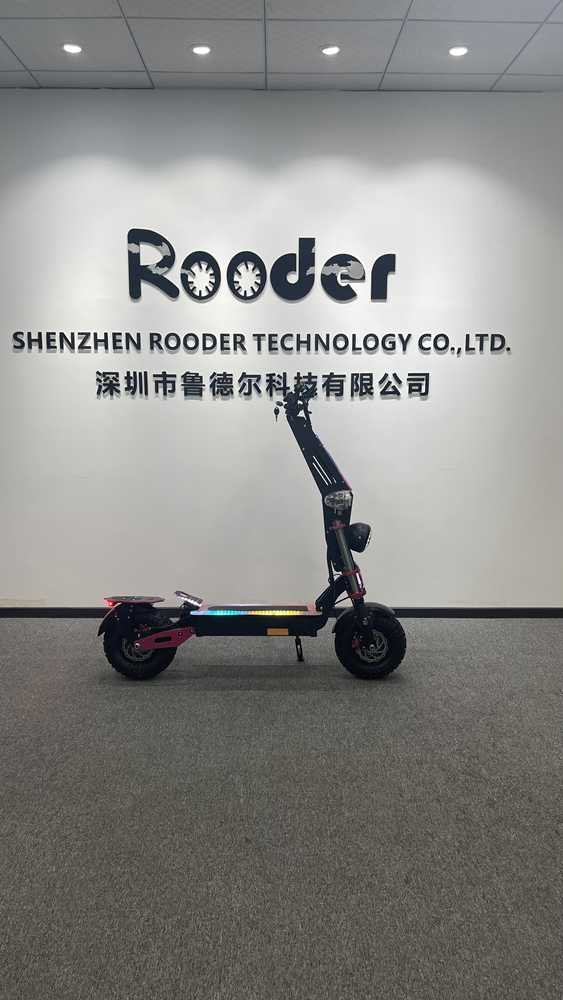 eco scooter OEM