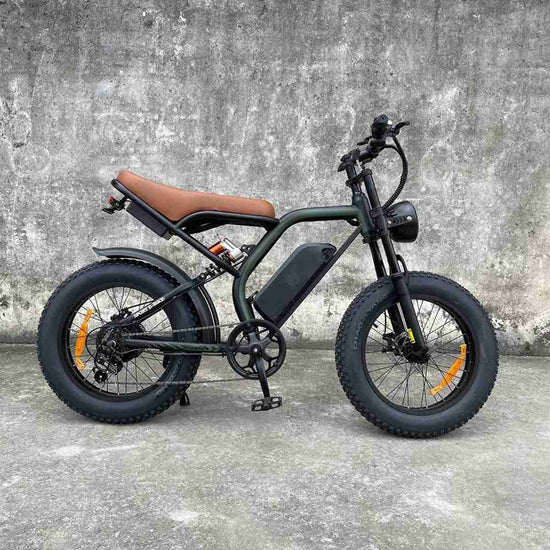 electric bike for adults OEM