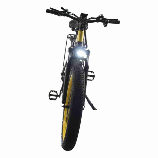 electric bike for delivery OEM