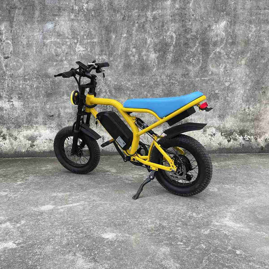 electric bike nearby OEM