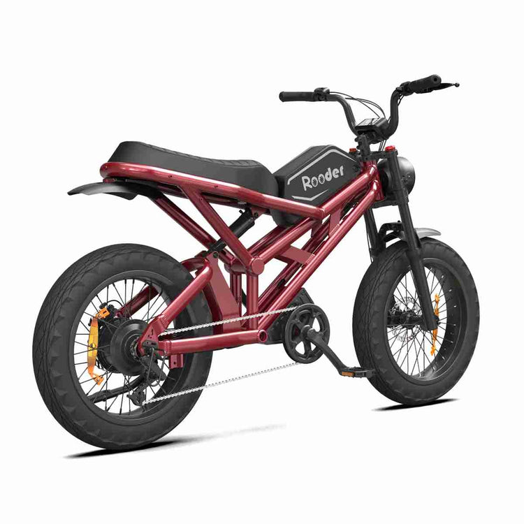 electric bike on road price OEM