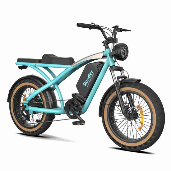 electric bike store near me OEM