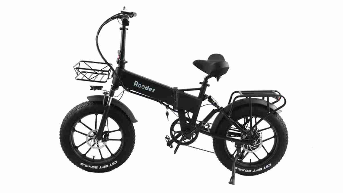 electric bike with passenger seat OEM