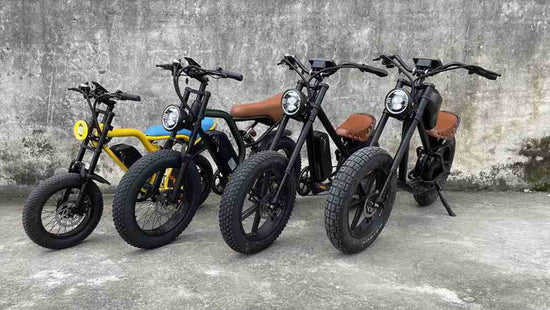 electric bikes for seniors OEM