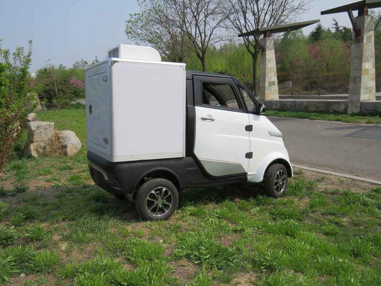 car electric for sale wholesale factory price