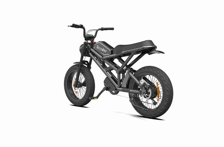 electric cargo bike OEM