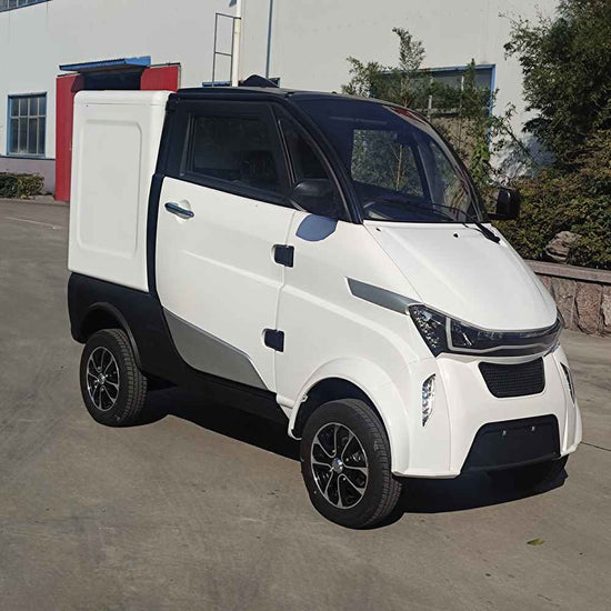 electric car of the year 2024 wholesale factory price