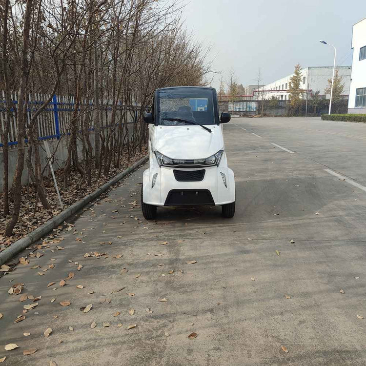 electric van cars wholesale factory price