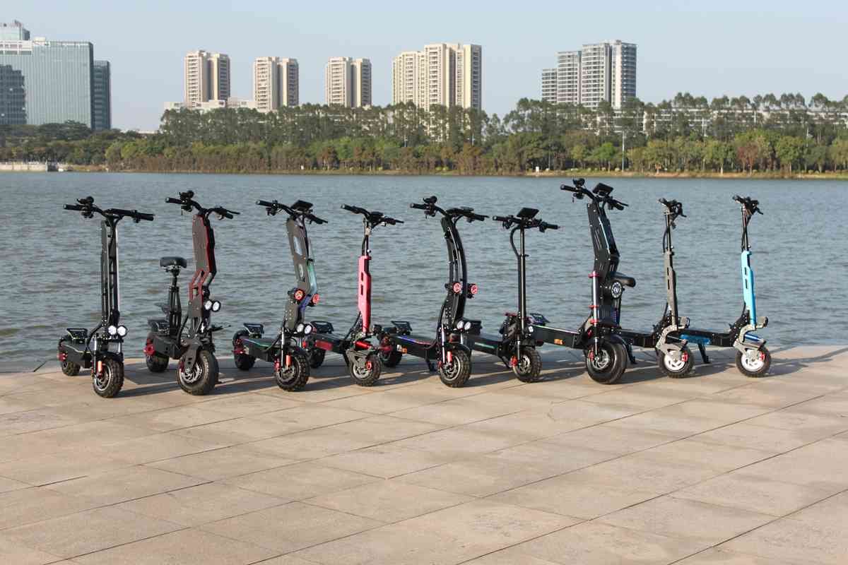 electric scooter 2024 OEM