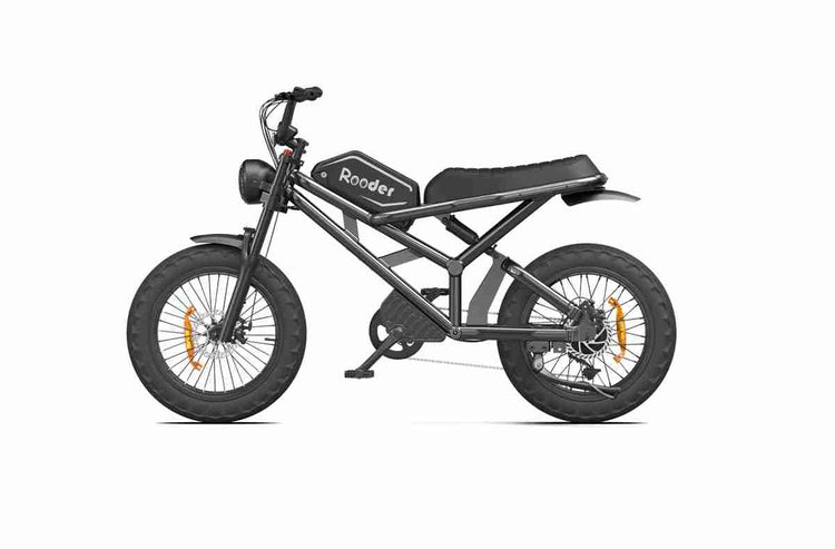 electric trike bike OEM