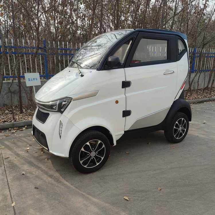 electric van for business wholesale factory price