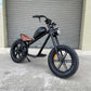 electric bicycle Rooder cb01b 48v 500w 1000w 10-40a 25-50km/h wholesale price