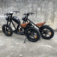 electric bicycle Rooder cb01b 48v 500w 1000w 10-40a 25-50km/h wholesale price