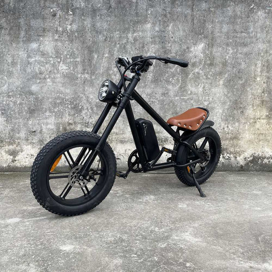 electric chopper bike Rooder cb01a 48v 500w 1000w 10a 15a 20a wholesale price