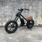 electric chopper bike Rooder cb01a 48v 500w 1000w 10a 15a 20a wholesale price