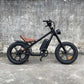 electric chopper bike Rooder cb01a 48v 500w 1000w 10a 15a 20a wholesale price