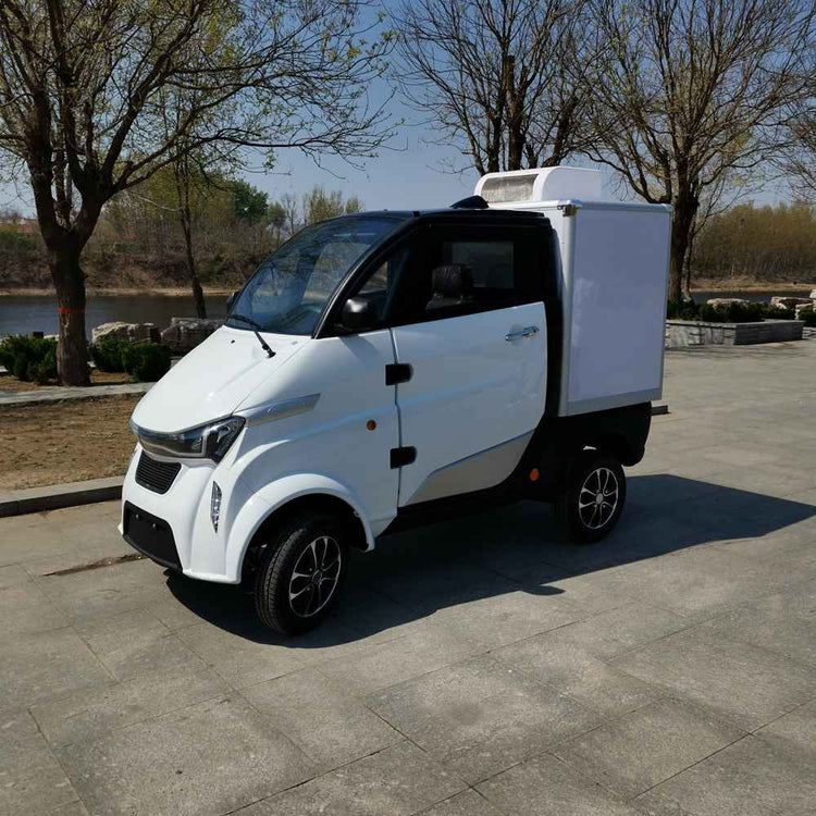 electric vehicle subscription service wholesale factory price