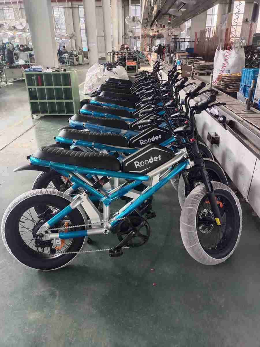 falt ebike OEM