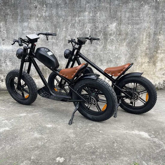 high quality cheap price ebike Rooder cb01b 48v 1000w 40a wholesale price