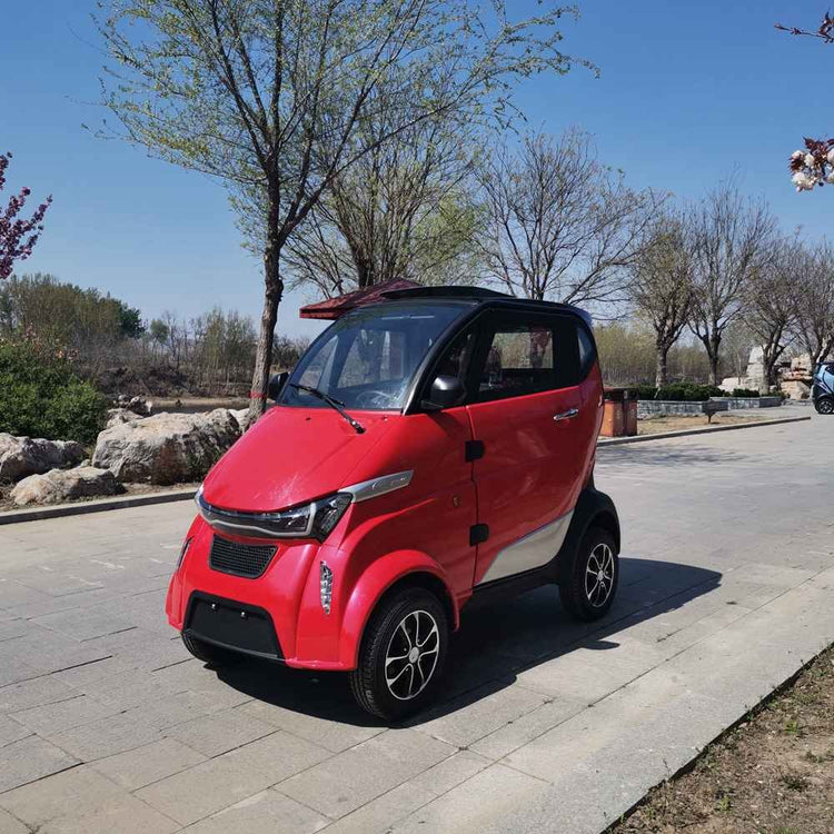 electric vehicle video wholesale factory price