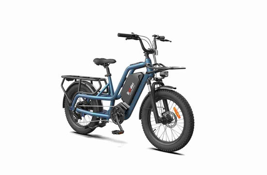 long distance electric bike OEM