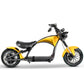 mangosteen bike Rooder m1p m1ps city coco elektroroller chopper wholesale price