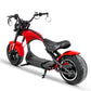 mangosteen electric bike Rooder m1ps echopper 2000w 3000w wholesale price