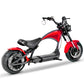 mangosteen electric bike Rooder m1ps echopper 2000w 3000w wholesale price