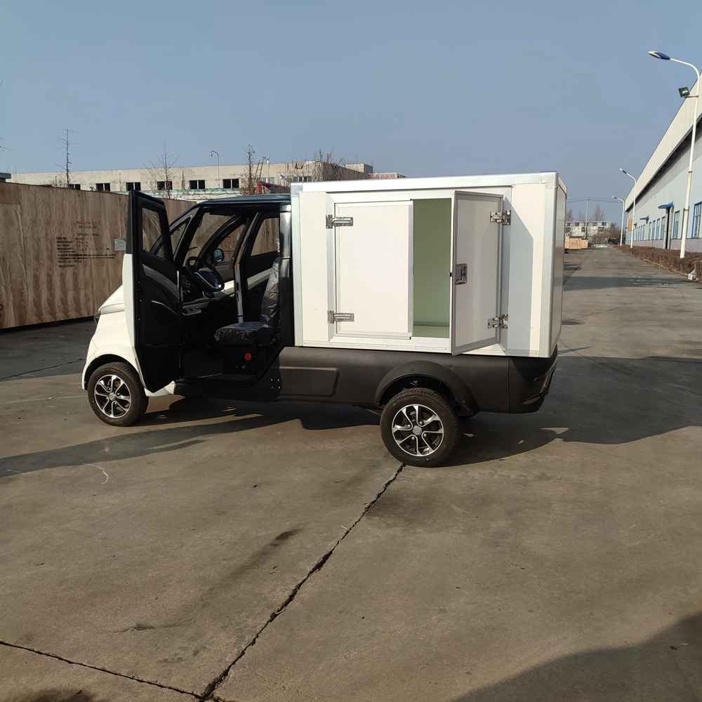 electric cars work wholesale factory price