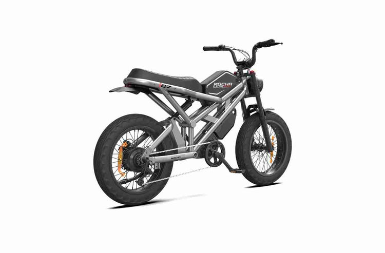 moped ebike OEM