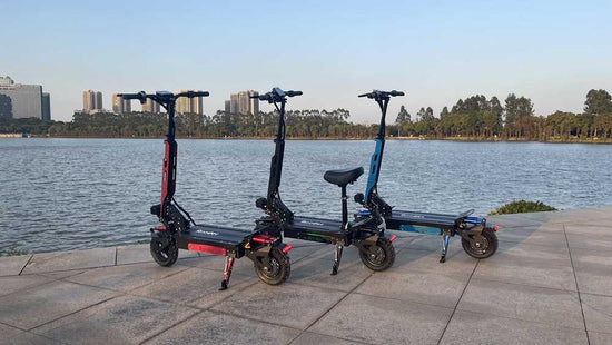 portable electric scooter OEM