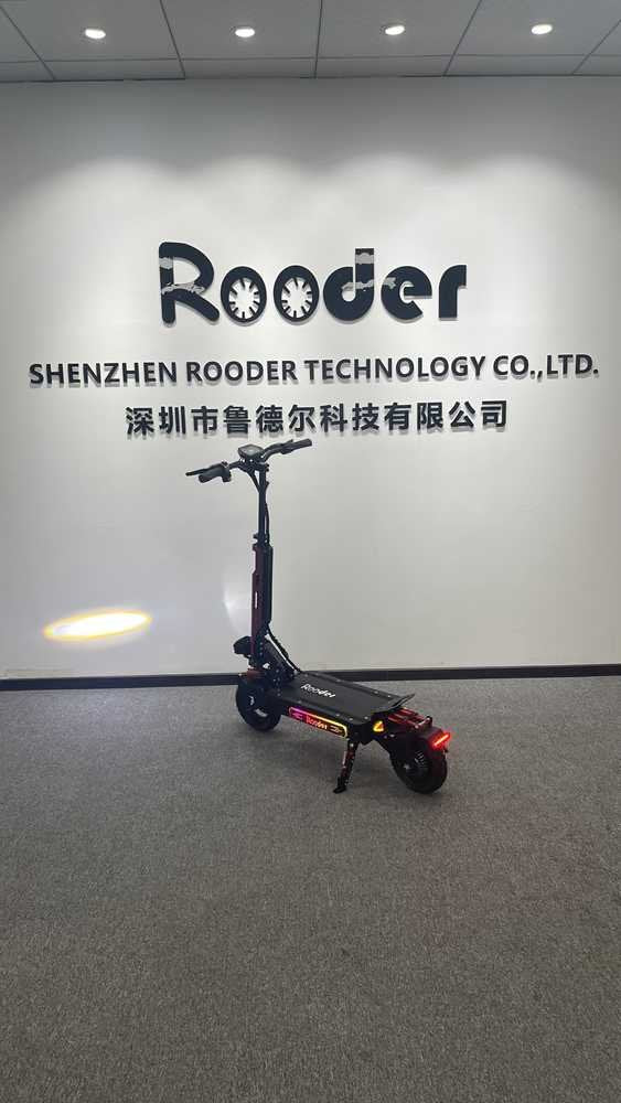 pro electric scooter OEM