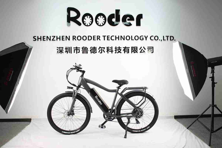 solid electric bike OEM