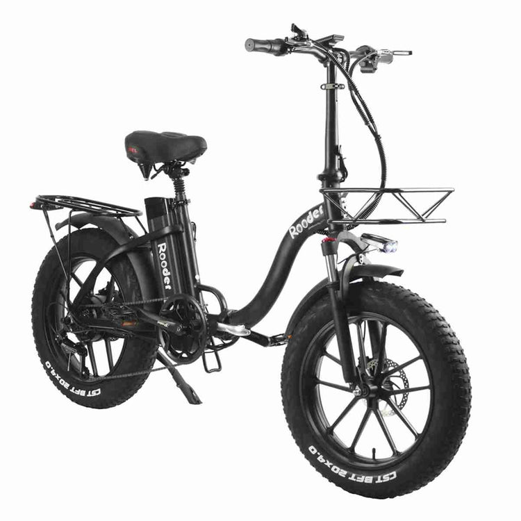 three wheel electric bike OEM