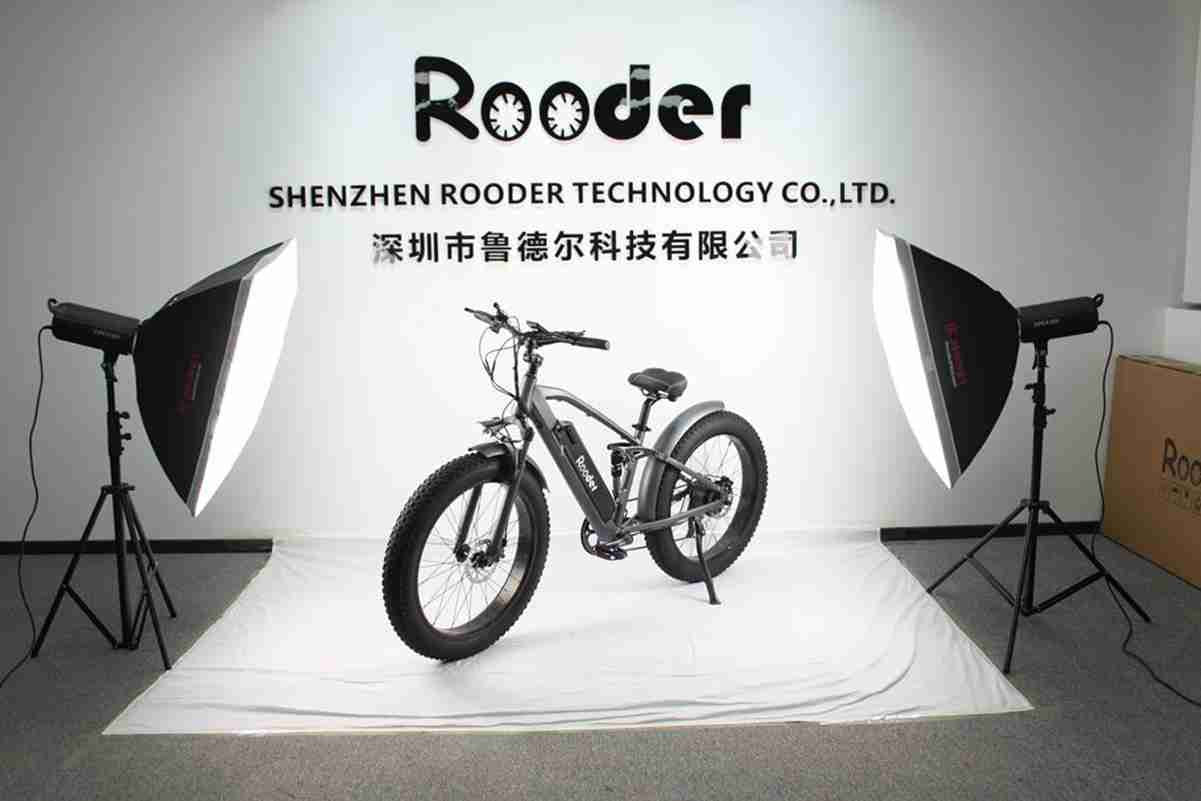 top e bikes 2024 OEM