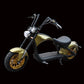 Mangosteen Electric Motorcycle Rooder eRoller m1p Citycoco Custom