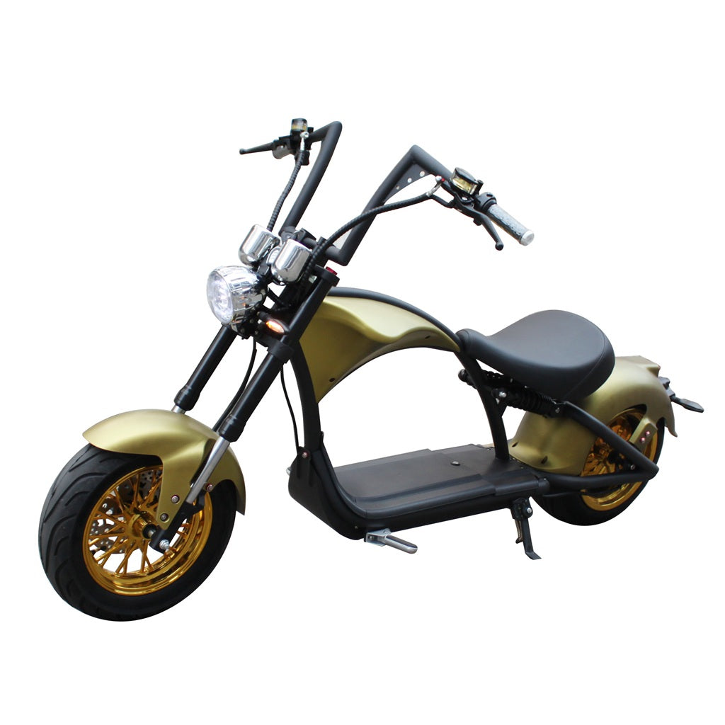 Mangosteen Electric Motorcycle Rooder eRoller m1p Citycoco Custom