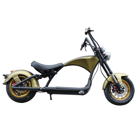 Mangosteen Electric Motorcycle Rooder eRoller m1p Citycoco Custom