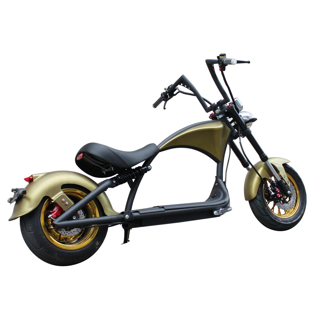 Mangosteen Electric Motorcycle Rooder eRoller m1p Citycoco Custom