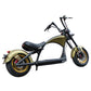 Mangosteen Electric Motorcycle Rooder eRoller m1p Citycoco Custom