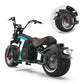 Rooder Mangosteen Runner M8 Scooter Big Wheel Fat Tire 2000w