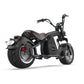 Rooder Mangosteen Runner M8 Scooter Big Wheel Fat Tire 2000w