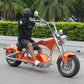 Rooder Mangosteen Sara m1ps Citycoco Chopper Electric Scooter