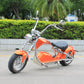 Rooder Mangosteen Sara m1ps Citycoco Chopper Electric Scooter