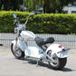 Rooder Mangosteen Sara m1ps Citycoco Chopper Electric Scooter