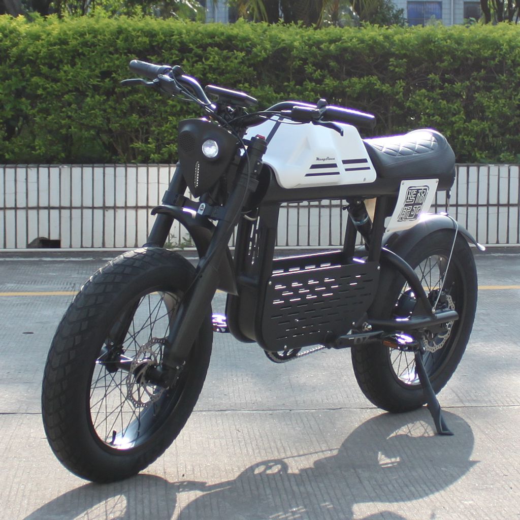 Rooder mangosteen electric bike ft-01 48v 1000w 30ah 50kmh