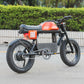 Rooder mangosteen electric bike ft-01 48v 1000w 30ah 50kmh